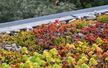 the cost of Deadmans Cross green roof installation